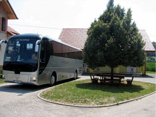 26 ob oljarni je lepa lipa z prijetno senco